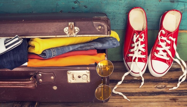 sebra, Fotolia.com